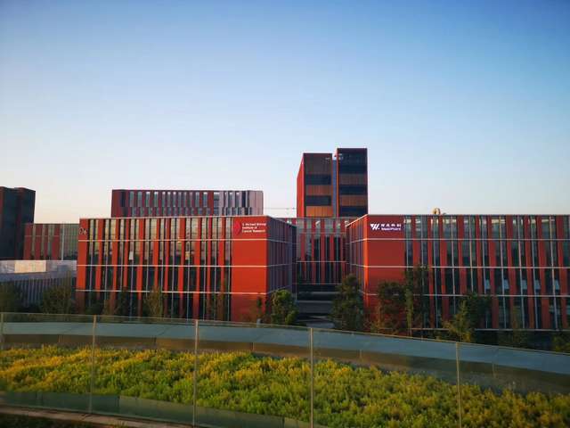 坝体防护聚脲施工