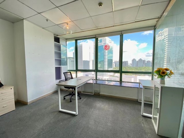 德国特酿手工艺果味型低醇啤酒度数